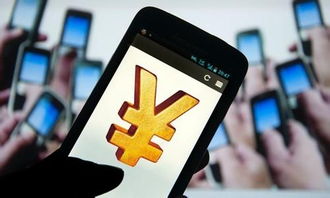 互聯(lián)網(wǎng)支付 心跳加速的便利，網(wǎng)絡(luò)與信息安全軟件開(kāi)發(fā)的守護(hù)之道